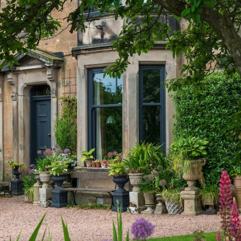 black sash windows near me